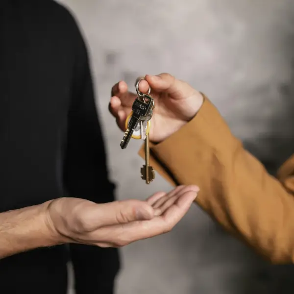 Property Listings